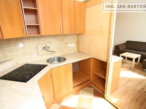 Pronájem bytu 1+kk, Jihlava, Palackého, 35 m2