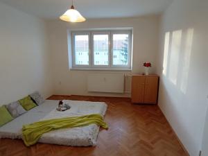 Pronájem bytu 2+1, České Budějovice - České Budějovice 3, Puklicova, 59 m2