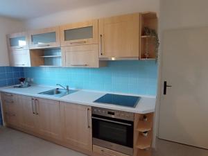 Pronájem bytu 2+1, České Budějovice - České Budějovice 3, Puklicova, 59 m2