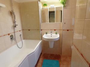 Pronájem bytu 2+1, České Budějovice - České Budějovice 3, Puklicova, 59 m2