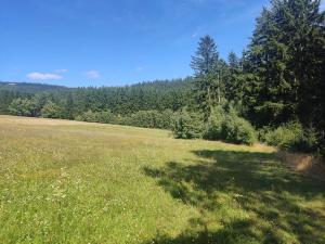 Prodej lesa, Meziměstí, 15962 m2