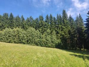 Prodej louky, Meziměstí, 15962 m2