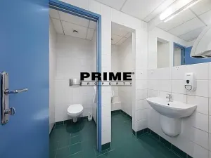 Pronájem kanceláře, Praha - Nové Město, Krakovská, 300 m2