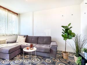 Prodej bytu 1+1, Kolín - Kolín II, Dělnická, 34 m2