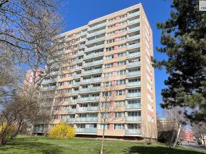 Prodej bytu 1+1, Kolín - Kolín II, Dělnická, 34 m2