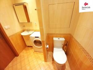 Pronájem bytu 1+1, Trutnov, Fialková, 30 m2