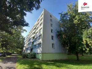 Pronájem bytu 1+1, Trutnov, Fialková, 30 m2