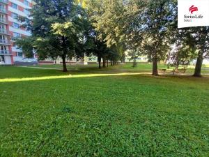 Pronájem bytu 1+1, Trutnov, Fialková, 30 m2