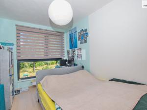 Pronájem bytu 3+1, Liberec - Liberec I-Staré Město, Vítězná, 90 m2