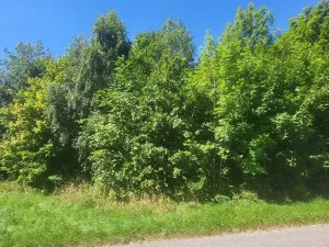 Prodej pozemku pro bydlení, Staré Křečany, 2547 m2