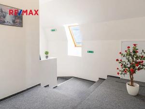 Prodej apartmánu, Rumburk, Krásnolipská, 580 m2