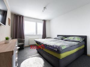Prodej bytu 2+1, Krupka - Bohosudov, Kollárova, 61 m2