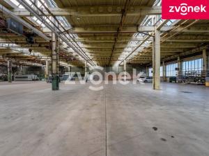 Pronájem výrobních prostor, Holešov, 2800 m2