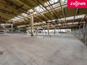Pronájem výrobních prostor, Holešov, 2800 m2