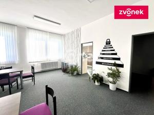 Pronájem výrobních prostor, Holešov, 2800 m2