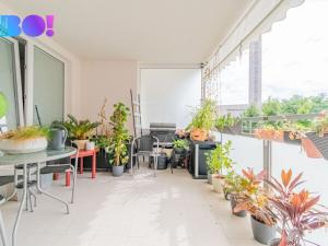 Prodej bytu 2+kk, Olomouc, Janského, 62 m2