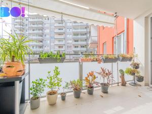 Prodej bytu 2+kk, Olomouc, Janského, 62 m2