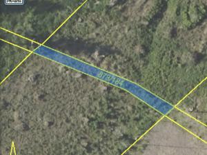 Prodej lesa, Kladruby, 222 m2