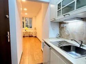 Pronájem bytu 1+kk, Praha - Karlín, Sokolovská, 21 m2