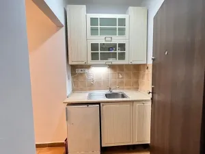 Pronájem bytu 1+kk, Praha - Karlín, Sokolovská, 21 m2