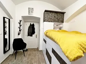 Prodej bytu 1+kk, Praha - Vinohrady, Rubešova, 24 m2