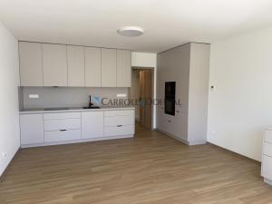 Pronájem bytu 1+kk, Ostrava - Slezská Ostrava, U Hájenky, 34 m2