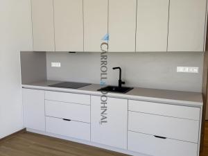 Pronájem bytu 1+kk, Ostrava - Slezská Ostrava, U Hájenky, 34 m2