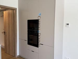 Pronájem bytu 1+kk, Ostrava - Slezská Ostrava, U Hájenky, 34 m2