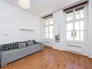 Pronájem bytu 1+kk, Praha - Žižkov, Vlkova, 25 m2