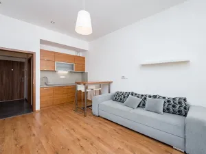 Pronájem bytu 1+kk, Praha - Žižkov, Vlkova, 25 m2