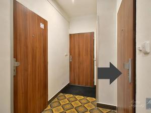 Pronájem bytu 1+kk, Ústí nad Labem, Masarykova, 30 m2