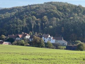 Prodej pozemku pro bydlení, Lažany, 2721 m2