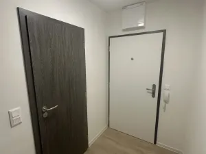 Pronájem bytu 1+kk, Olomouc, Aloise Rašína, 29 m2