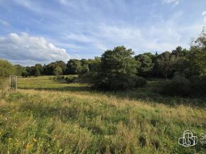 Prodej pozemku, Rovná, 8130 m2