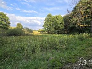 Prodej pozemku, Rovná, 8130 m2