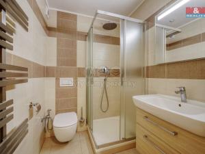 Prodej bytu 2+kk, Železná Ruda, 49 m2