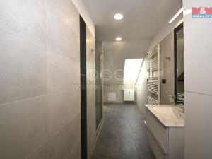 Pronájem bytu 3+kk, Ostrava - Radvanice, Těšínská, 82 m2