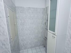 Prodej bytu 4+1, Pardubice - Zelené Předměstí, Sokolovská, 113 m2