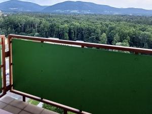 Pronájem bytu 1+1, Třinec, Kopernikova, 38 m2