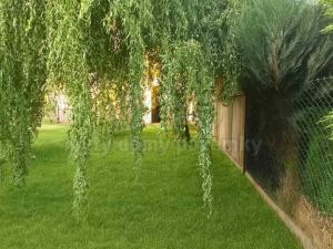 Pronájem bytu 1+1, Pňovice, 38 m2