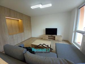 Prodej bytu 1+1, Kroměříž, Francouzská, 34 m2