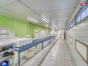 Prodej výrobních prostor, Lhůta, 1220 m2