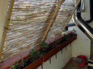 Prodej bytu 3+kk, Via Panoramico, Scalea, Kalábrie, Itálie, 65 m2