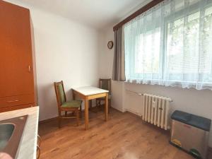 Pronájem bytu 1+1, Plzeň - Jižní Předměstí, Raisova, 30 m2