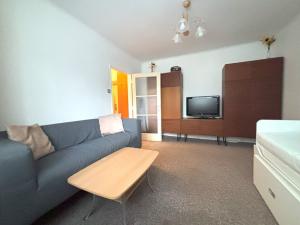 Pronájem bytu 1+1, Plzeň - Jižní Předměstí, Raisova, 30 m2