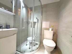 Pronájem bytu 1+1, Plzeň - Jižní Předměstí, Raisova, 30 m2