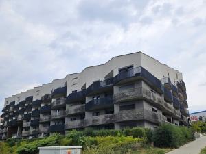 Pronájem bytu 1+kk, Plzeň - Východní Předměstí, Papírnická, 42 m2