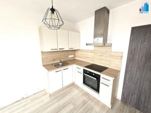 Pronájem bytu 1+kk, Plzeň - Východní Předměstí, Papírnická, 42 m2
