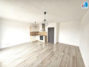 Pronájem bytu 1+kk, Plzeň - Východní Předměstí, Papírnická, 42 m2