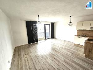 Pronájem bytu 1+kk, Plzeň - Východní Předměstí, Papírnická, 42 m2